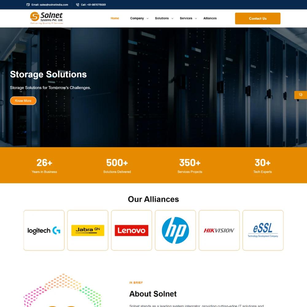 Solnet India - Logo Design